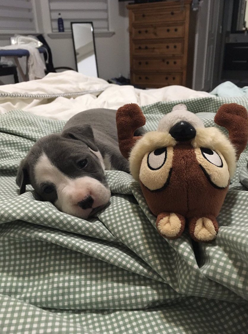 if this isn't the cutest thing youve seen all day.... 😍😍