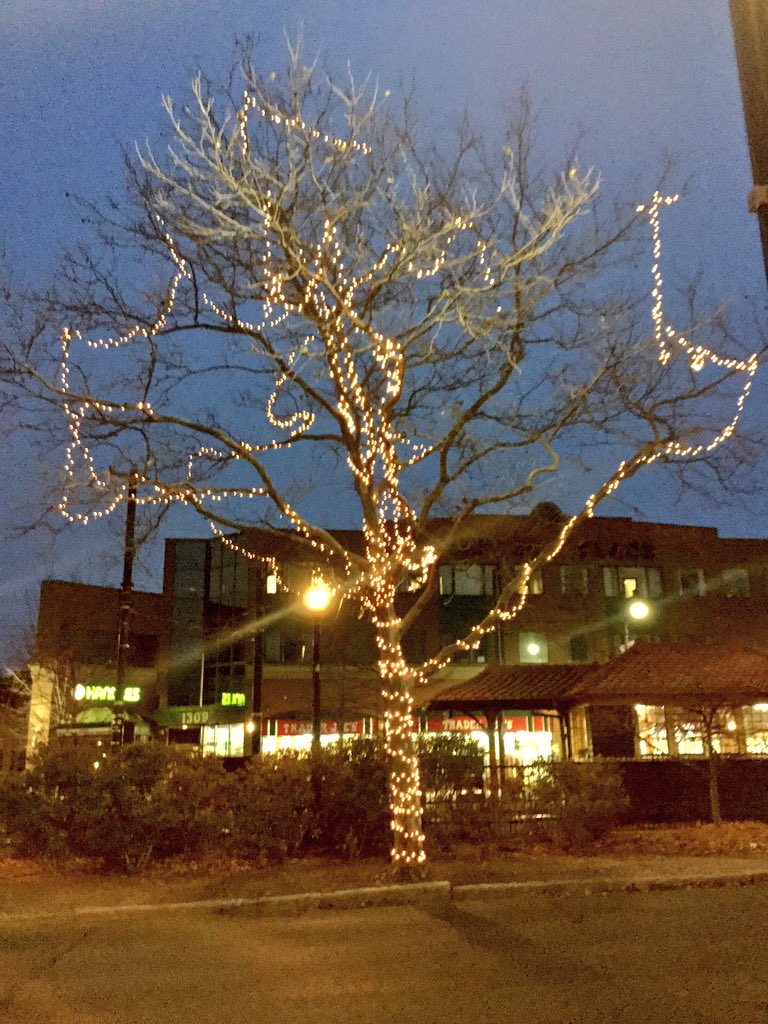 Emjay1028's tweet photo. Managed to get a few miles in before #snow really hit #Boston #ViewFromMorningRun #Winter #Training #RoadToThirteenPointOne #ChristmasTrees https://t.co/yWemkbJghL