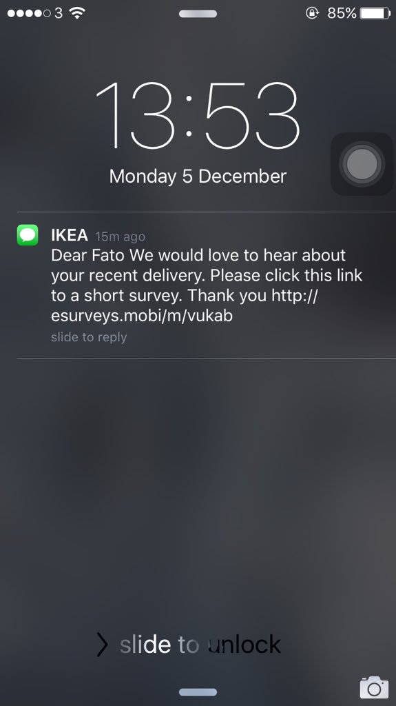 erin echo tweet media