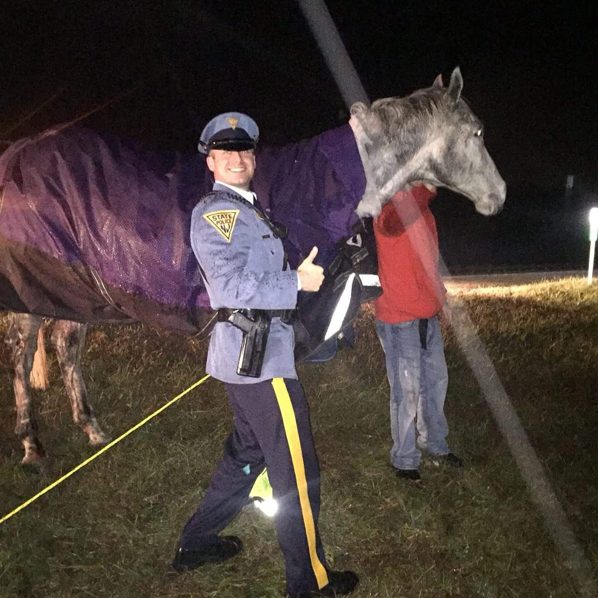 NJSP's tweet image. Troopers respond to crash involving horses. facebook.com/NewJerseyState…