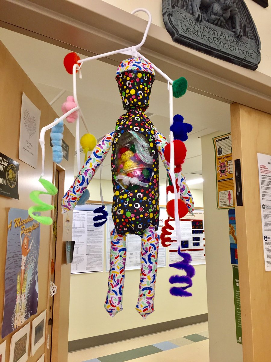 markowenmartin's tweet photo. I enjoy these #CreativeExtraCredit projects from my #Bio350 micronauts. A human microbiome mobile! @univpugetsound https://t.co/ZPmmZrkTQH