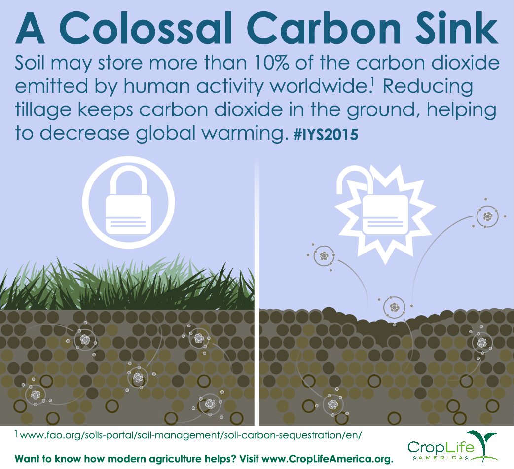 CropLifeAmerica's tweet photo. Happy #WorldSoilDay! DYK #soil may store more than 10% of the carbon dioxide emitted by human activity worldwide? #ModernAgMonday https://t.co/dzqOt9YrW4