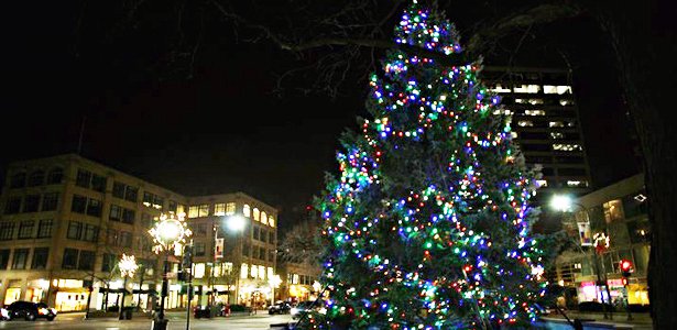 CityofEvanston's tweet photo. Join Santa, Mrs. Claus, @Heckys Hecky Powell, @EvanstonMayor &amp; more at the Holiday Tree Lighting Friday at 5:30pm! https://t.co/Tjz0UwU4ld https://t.co/nL03WHRgQB