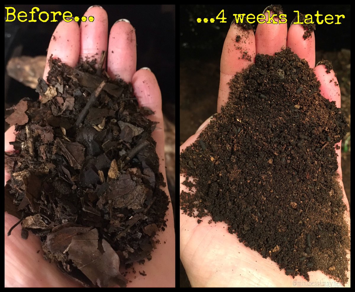 Sally-Ann Spence FRES FLS tweet media