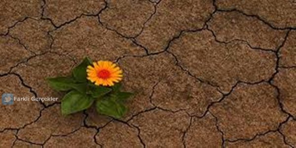 “Geleceğin bütün çiçekleri, bugünün tohumları içindedir.”

*Çin Atasözü