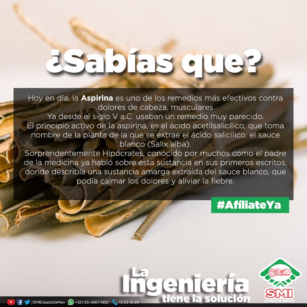 SMIEstadoDeMex's tweet photo. Un remedio que tiene su historia, ¡Conócela! #LaIngenieriaTieneLaSolucion #SMI https://t.co/ZKnewC7B2u