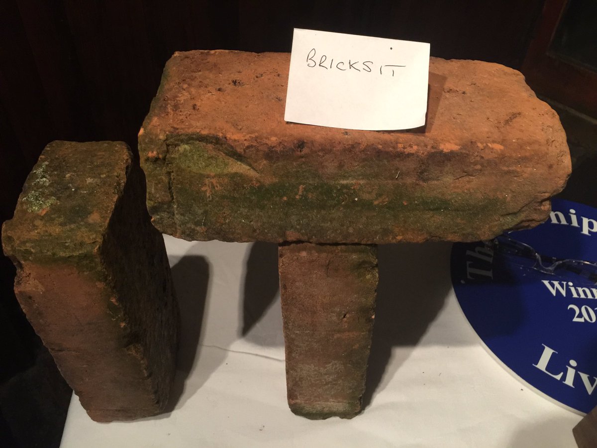 Finalist of Turnip Prize 'Bricks It'
