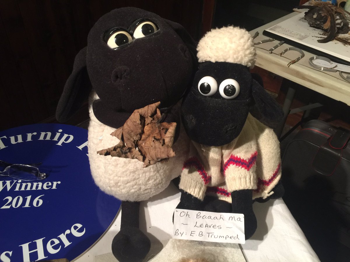 Finalist of Turnip Prize 'oh Baaa Ma Leaves'