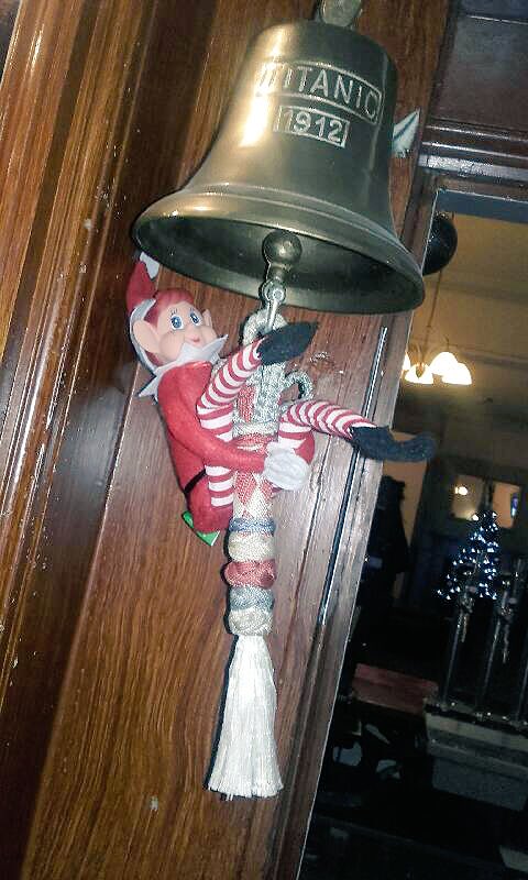 thelordchi's tweet photo. The chi elf is being a trouble maker today, best get down and have a drink with us before he calls time! 😂#chielf #xmas #beer https://t.co/xE7XYiw5bS