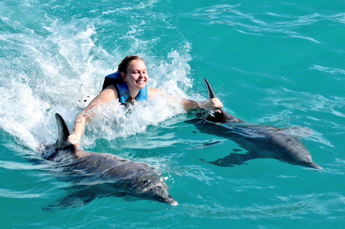 js_jacques's tweet image. Here's Breanna body surfing with her two new friends 🐬👱🏻‍♀️🐬