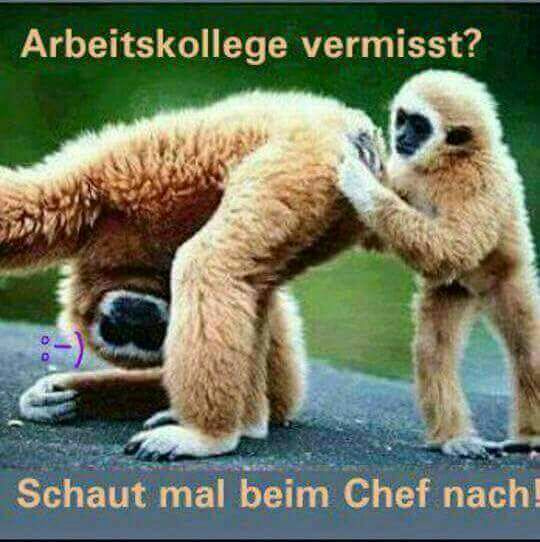 astridbr52's tweet photo. https://t.co/sra2veFucJ