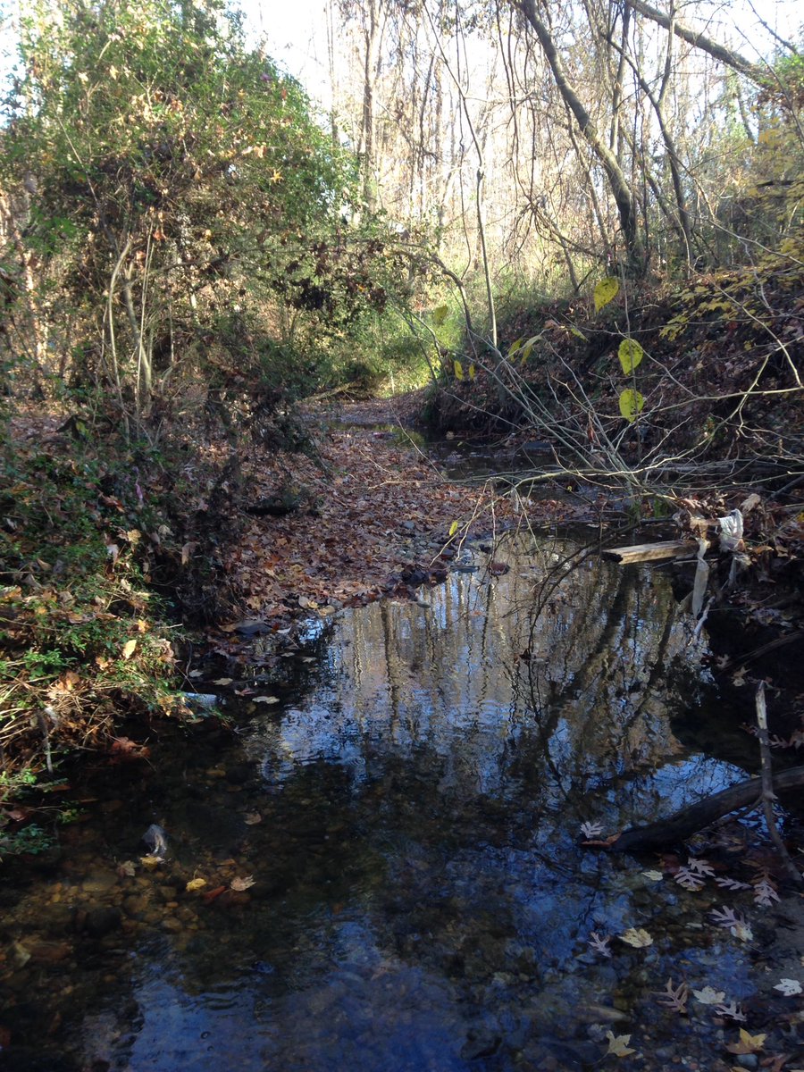 docnealis's tweet image. Protecting #WaterQuality starts in your own backyard. In our case, on #vsu campus. #samplingday #stream #environmentalscience