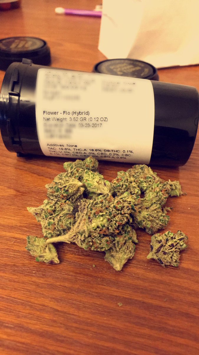 aficionadoOFpot's tweet photo. Flo (hybrid) https://t.co/rl926UQULp