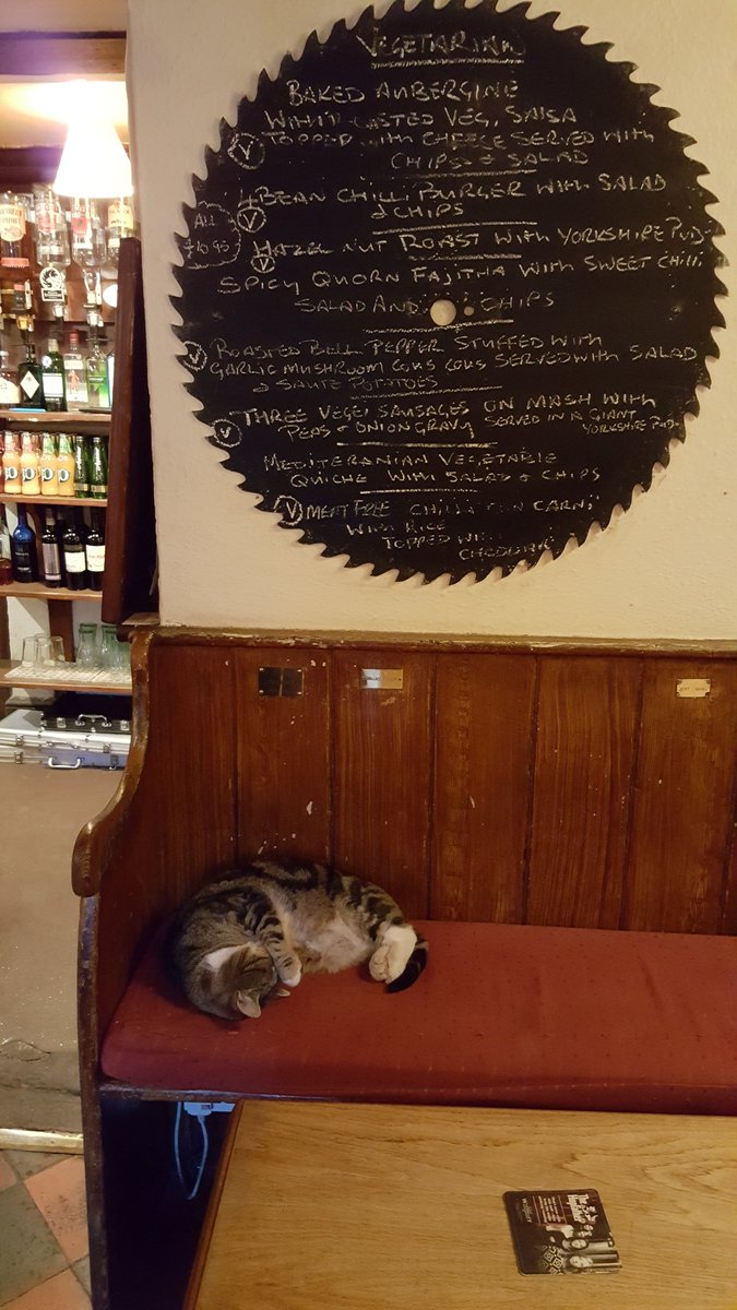 Quit content he is today. Warm inside cold outside he knows best