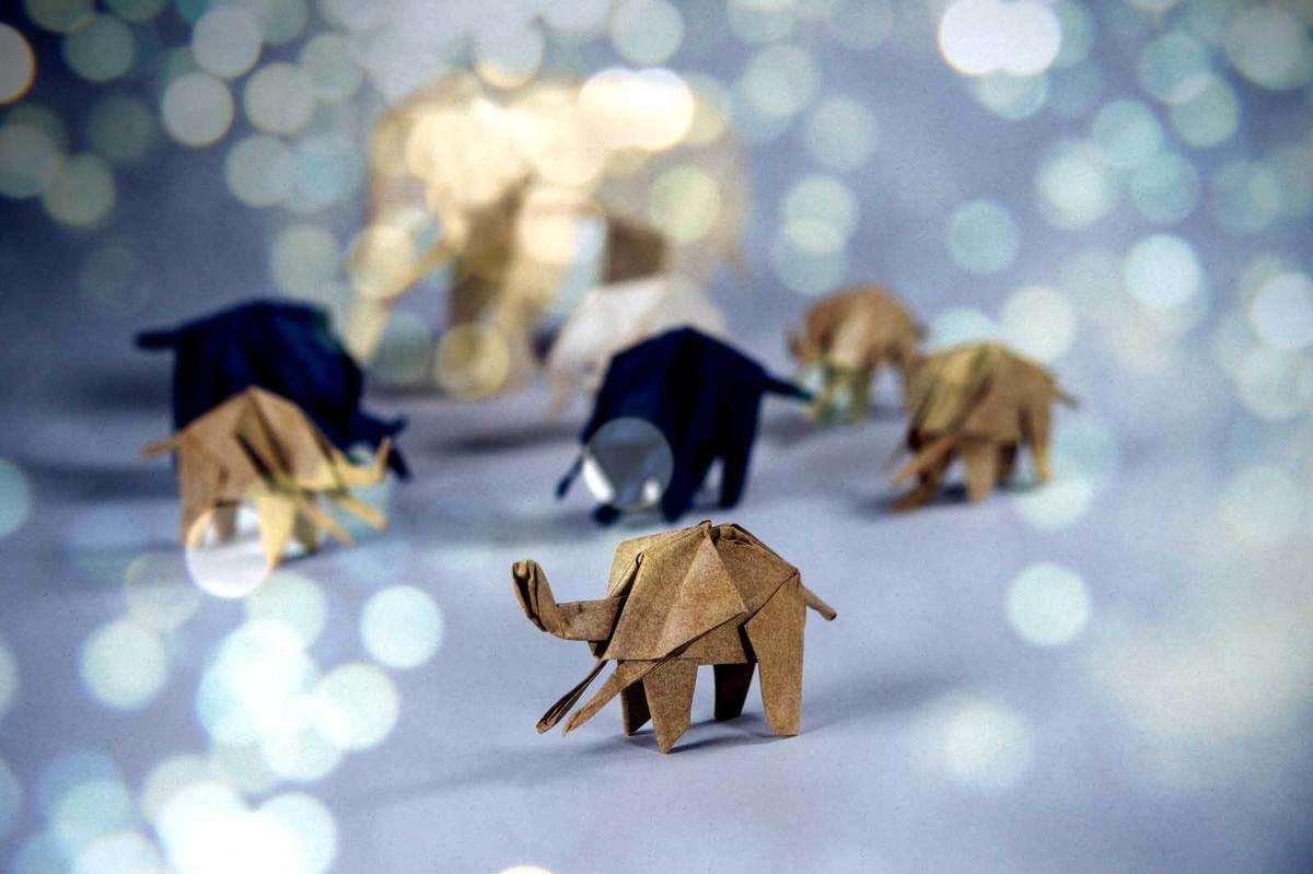 ShopBTM's tweet image. Come to the @BronxMuseum to see the amazing #ElephantOrigamiChallenge that honors the elephants lost each year from ivory hunting.