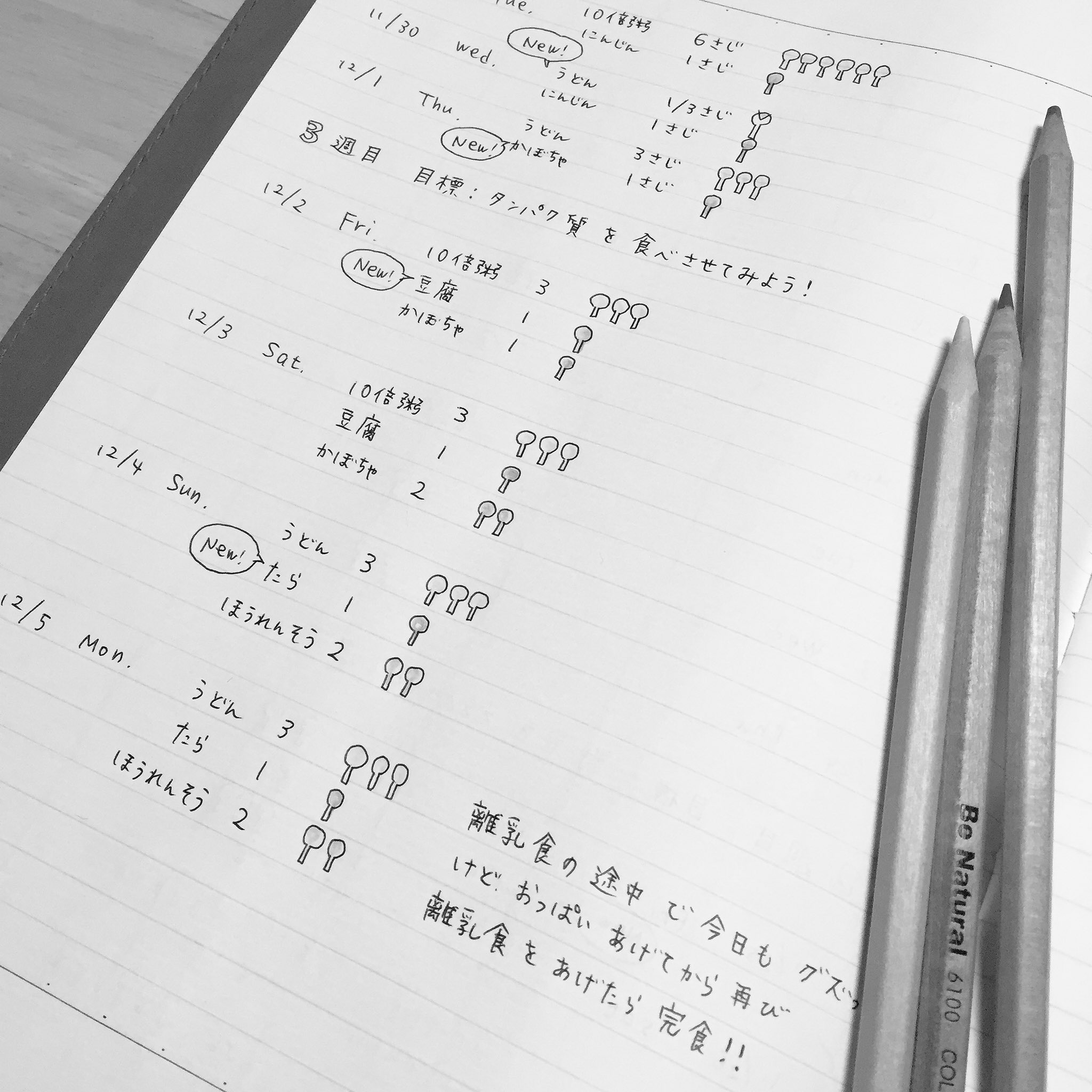 丁寧なぐりとぐら氏 家にあったツバメノートで 離乳食ノート を作ってみた まだまだ書き方が迷走してるので ちゃんとしたフォーマットを作りたい T Co Xljp1b8jix Twitter
