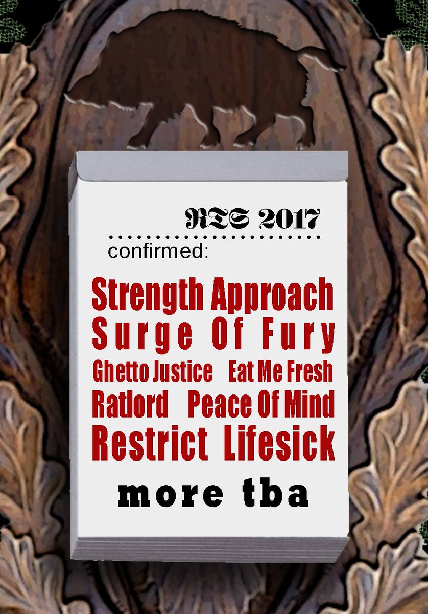 First bands confirmed 
#rts2017 #returntostrengthfest #querfurt #festival #hardcore