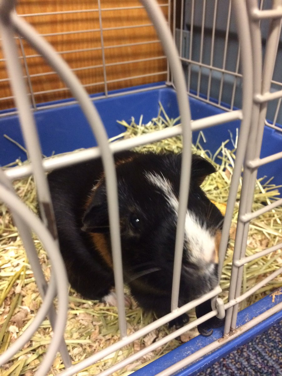 Salvador Gutierrez tweet media