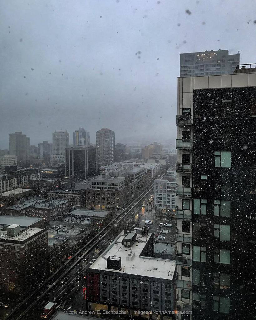 drewesch's tweet photo. Photo-A-Day, 340/366. Snowing in Seattle. #photoaday2016 #photoaday #igers_seattle #seattl… https://t.co/McvF15JWxT https://t.co/XOdaHszsHg