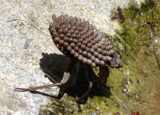 LiveScience's tweet image. #CaptionThis