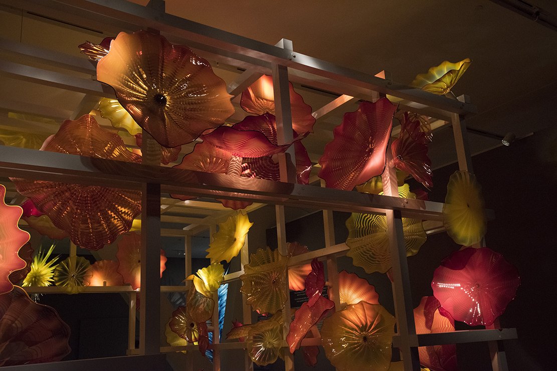 ROMtoronto's tweet photo. CLOSING January 8th - Chihuly. From Sand. From Fire. Comes Beauty #ChihulyTO https://t.co/SjXFbEKVRo