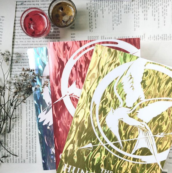 readmockingjay's tweet photo. Winter always has us snuggling up with our favourite reads, like the Hunger Games. What about you? {picture by @ayreadbooks on Instagram} https://t.co/ZPNR4Nh0IN