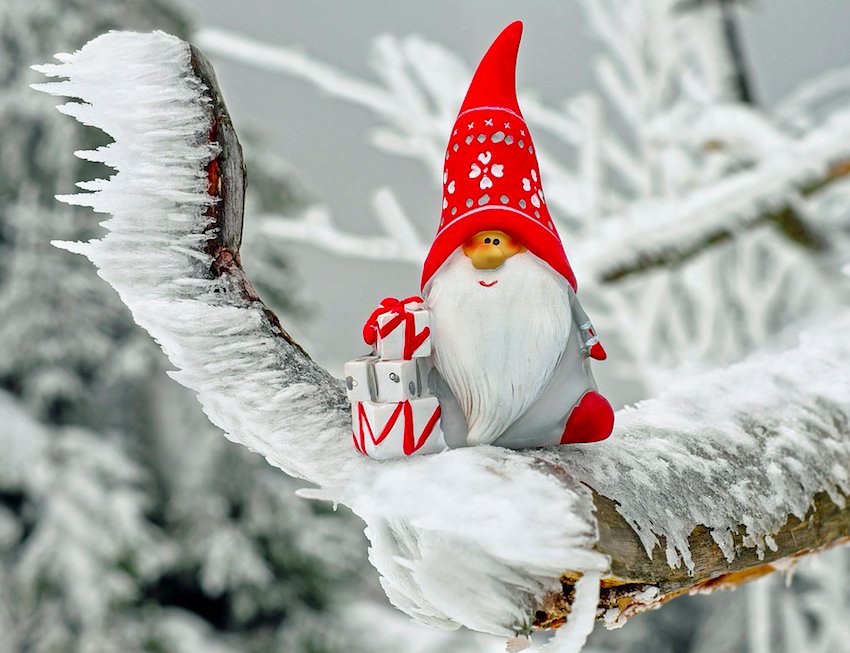 rosesurvert1's tweet photo. #ecocalendrier du mois de décembre ! Plein d'idées pour fêter Noël autrement ! https://t.co/d6vQAV3HrN https://t.co/DA4e3p4SMd