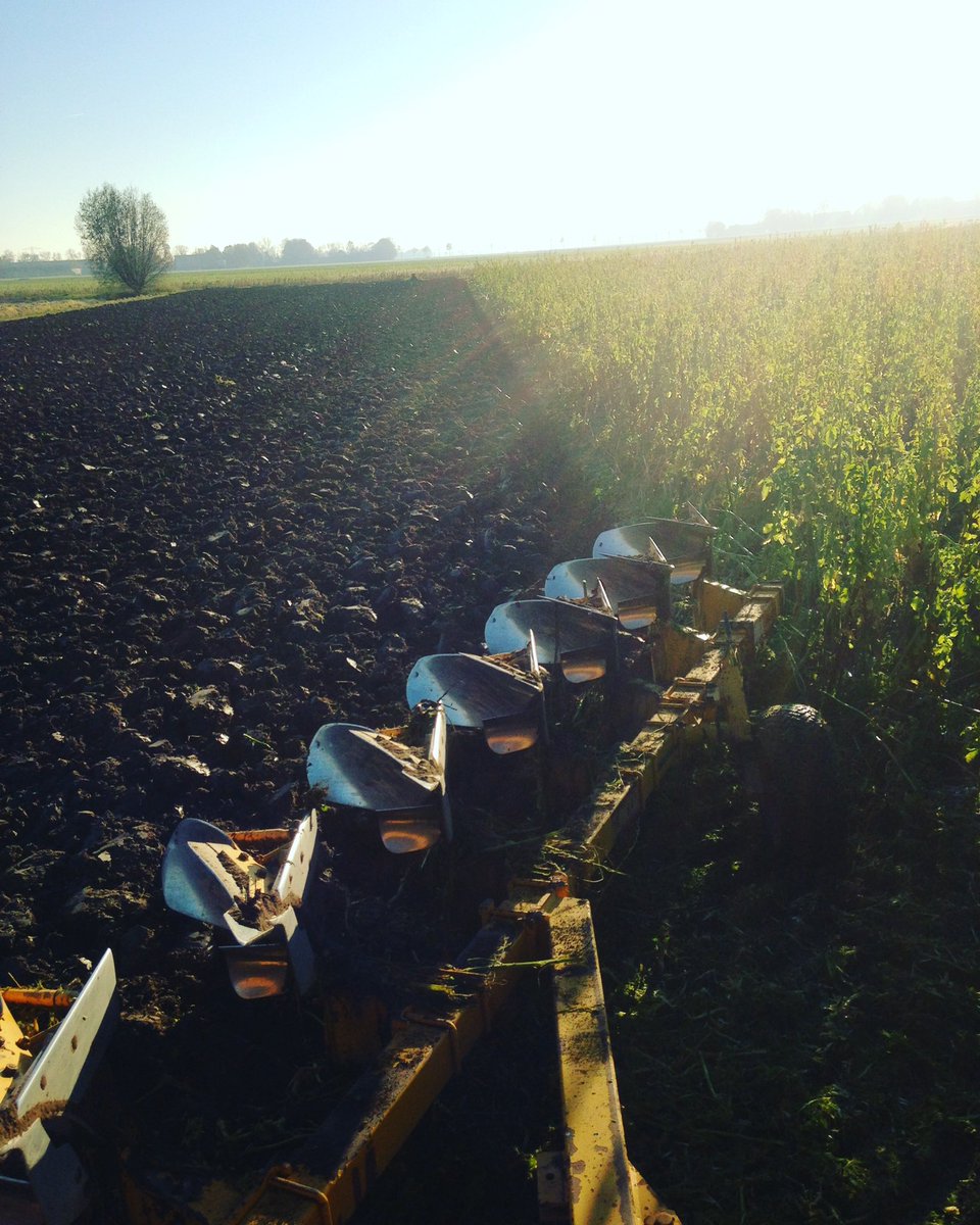Ploeg in de grond en gaan!!! #organic #biologisch #boer