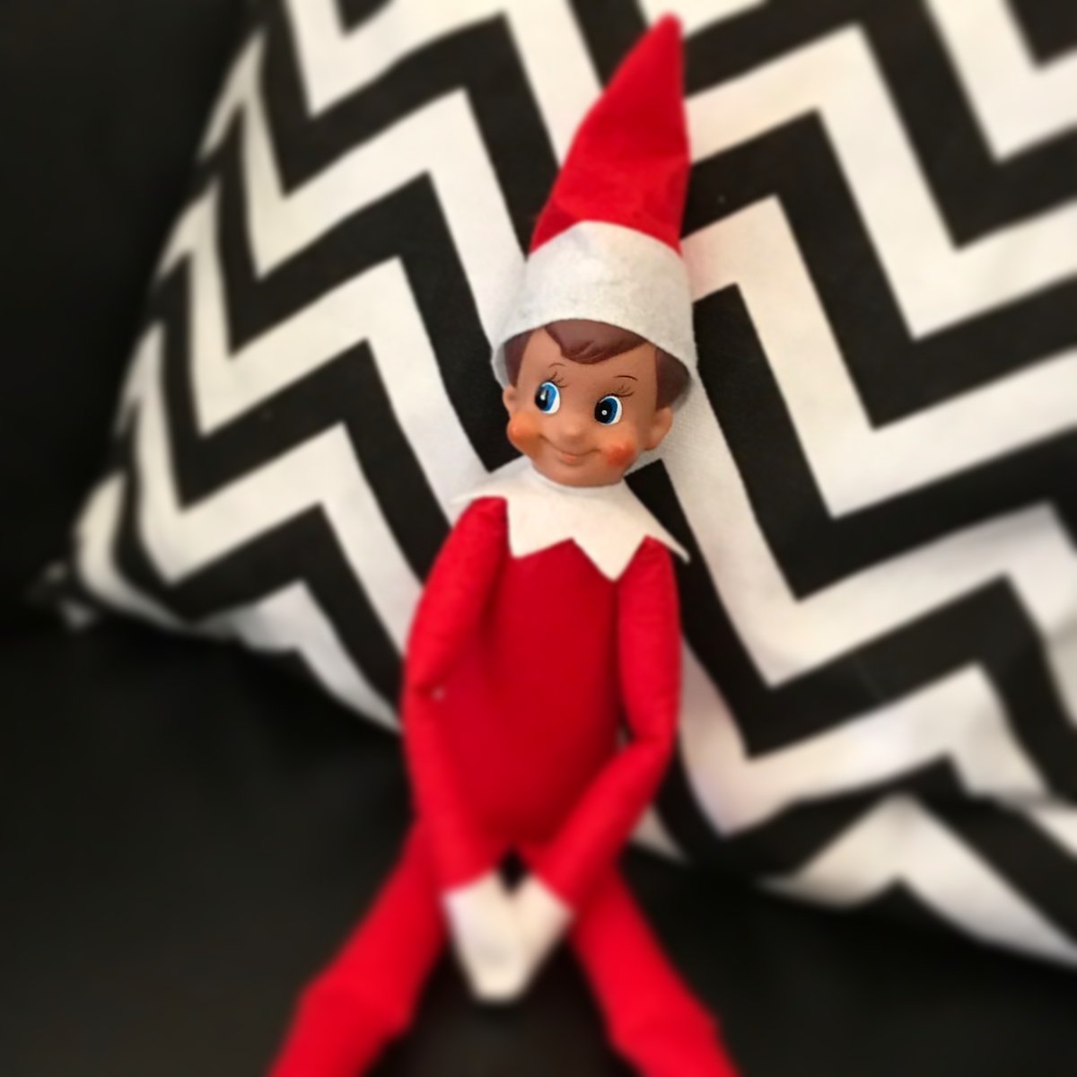 Day 5. Where has Elf been chilling today? #WheresElf #AVElfie #AVTheWarehouse #AshfordVineyard