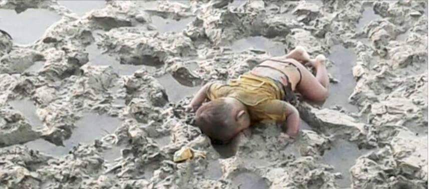 Ahmed_Afgani's tweet photo. This #AylanKurdi is not from #Syria. He is a #Rohingya from #Arakan. #Myanmar BGP killed him and his family.
#RohingyaGenocide https://t.co/HWHb3HamDm