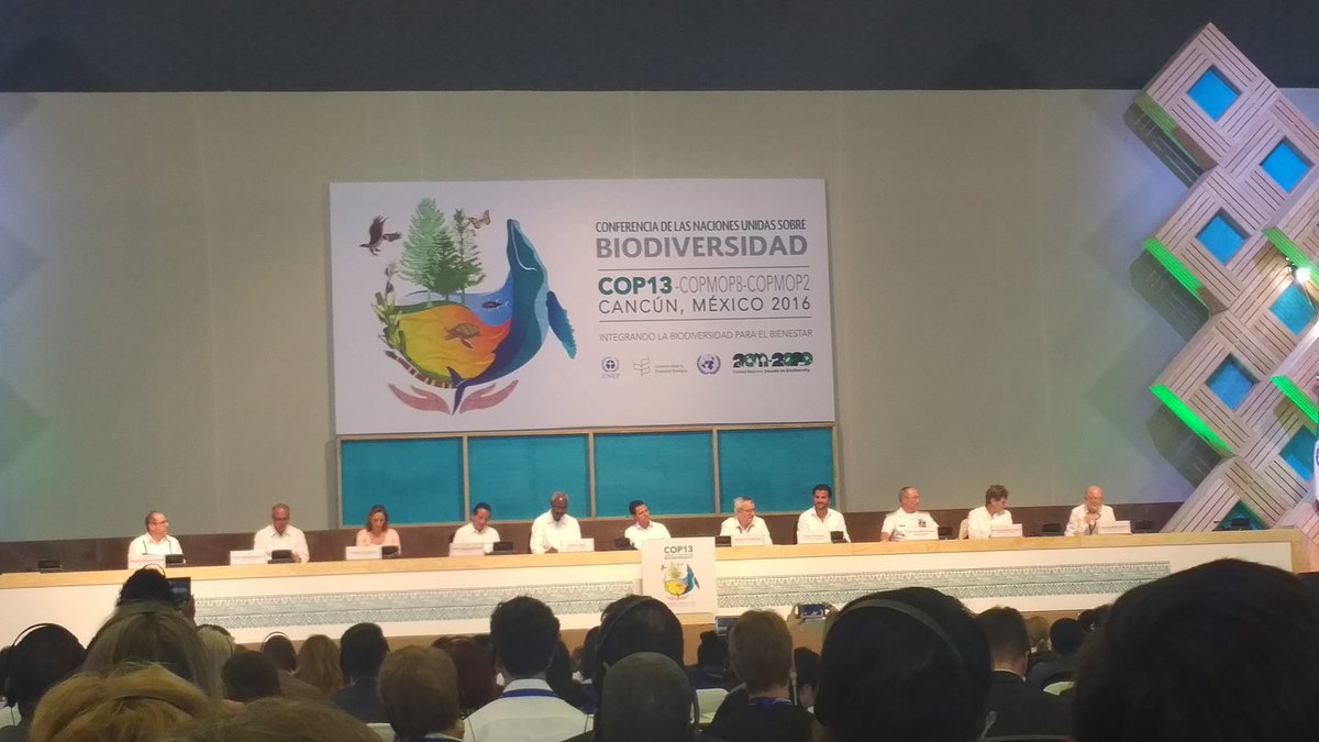 bramaccimmyt's tweet photo. Con @EPN en la @COP13MX La biodiversidad para una nutrición responsable. @ppcalzada @JorgeNarvaezN #5masagro https://t.co/iKRYD83sJD