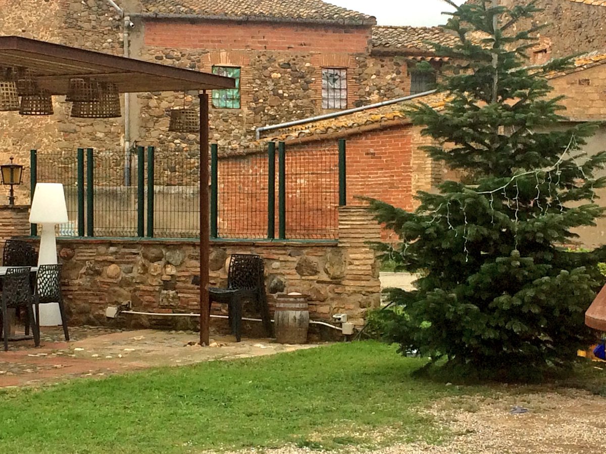LAVILLADECORSA's tweet photo. Ja tenim l'avet a punt per decorar, ja s'acosten les festes DE Nadal @LAVILLADECORSA https://t.co/hADfLdckpY
