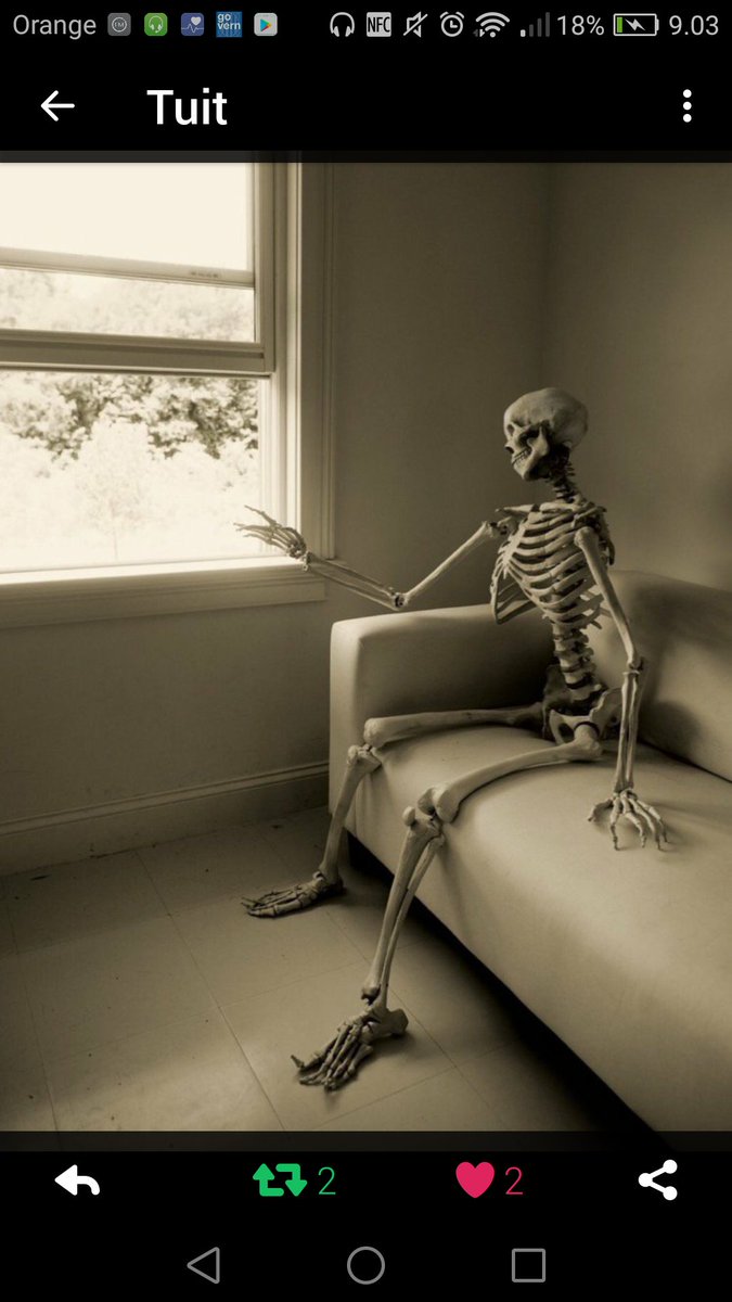 Tamborras🎗️ tweet media