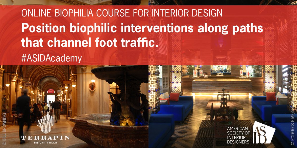 TerrapinBG's tweet image. Design tips, deep dives into the #14Patterns, interactive case studies &amp;amp; quizzes. Take the #biophilia course today! ow.ly/aw6j306gLNL