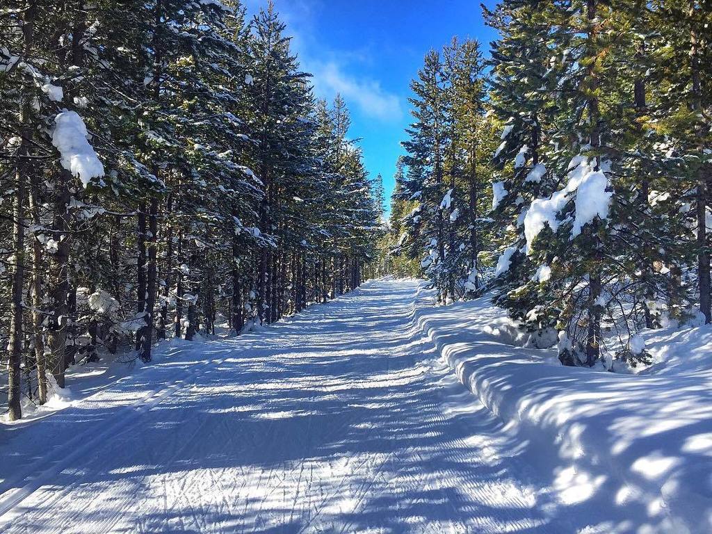 makegoodteam's tweet photo. It's going to be a magical week here in Bend! ✨❄️#makegoodcreate 📸@liquidphoenix https://t.co/jJqedLwQyr https://t.co/gnmlCD5N3O
