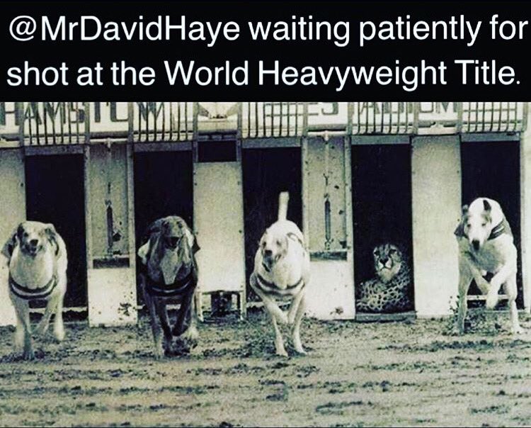 davidhaye's tweet photo. Patience is a virtue.... https://t.co/Xb3YJ11Rpb