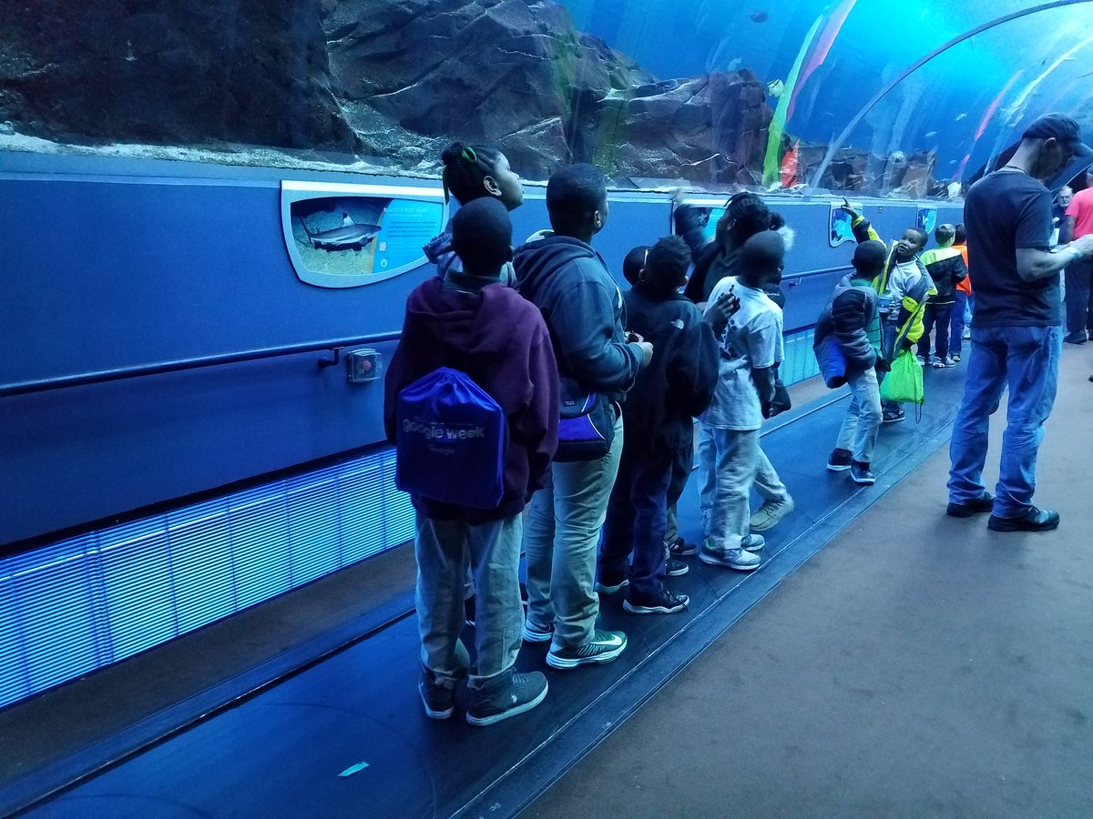 westmanormedia's tweet photo. Remote Research at the Ga Aquarium w/gifted&amp;talented @westmanormedia @DrLWestManor1 @wgoetzel @APSITPatrice @CarlaAn67767280 https://t.co/gJhJRjPjLx
