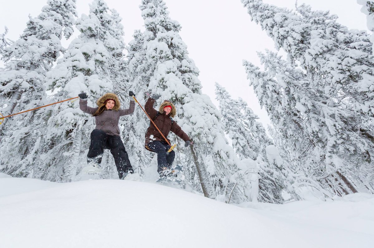 VisitJH's tweet photo. 18" of fresh Jackson Hole snow! #visitjacksonhole #yourinnerwildiscalling https://t.co/YHIggH8Y1z