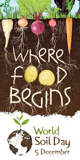 seedyourfuture's tweet photo. It's #WorldSoilDay #WSD2016 Check out this great @smithsonian piece on #dirt 's connection to dinner! #horticulture https://t.co/sMgu54ZLii https://t.co/CUFGw0xMfl