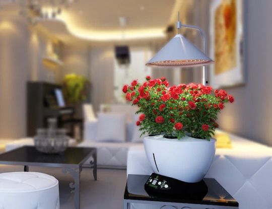 HydroponicsKit's tweet photo. iGrow's easy-to-maintain hydroponic growing system. Really modern and clean! #hydroponicsystem #genius #nextgen #growingindoor #winter https://t.co/AJM2ySs0Wj
