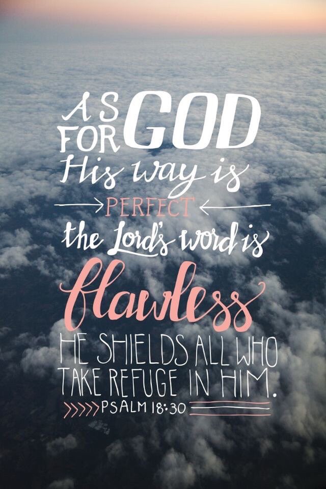 MiamiSpringsSDA's tweet image. #hiswordisflawless #hesourrefuge #hiswayisperfect #heshieldsus #praisegod #lovehimsomuch