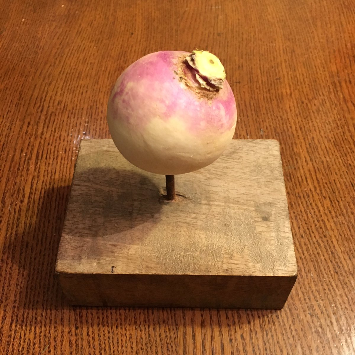 Turnip Prize Book tweet media