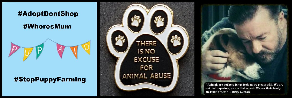 PROTECT ALL WILDLIFE tweet media