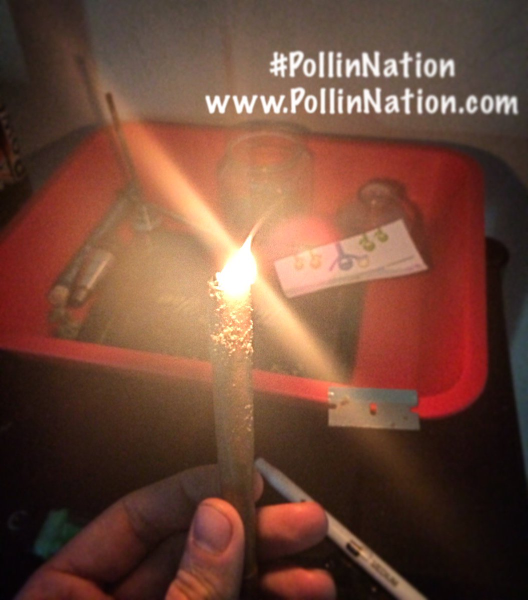 PollinNation215's tweet photo. 🔥💥🔥💥 #PollinNation ➡️ https://t.co/hLze2YBZck
