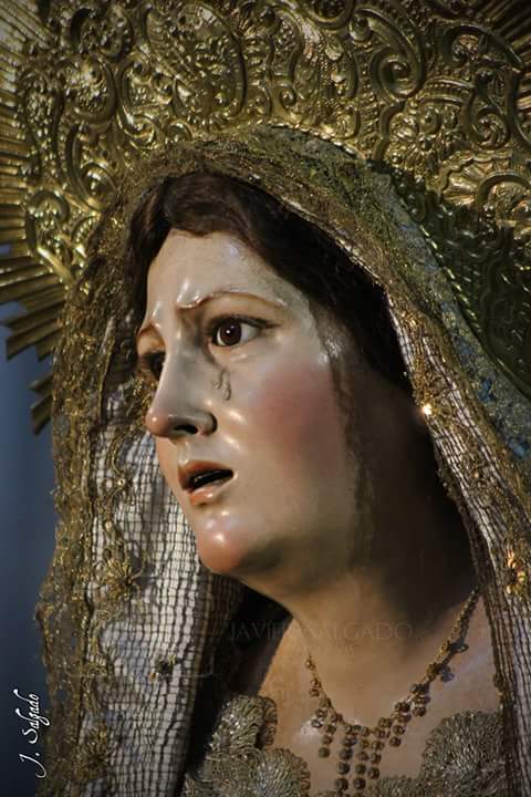 oclevanta's tweet photo. Besamano de María Stma. De los Desconsuelos de @AfligidosCdiz en @SanlorenzoCdiz con motivo de sus cultos #Cadiz #CofradiasCA @OndaCadizTV https://t.co/c29EsmJK0W