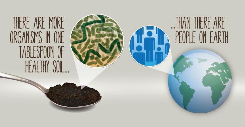 FAO Statistics tweet media