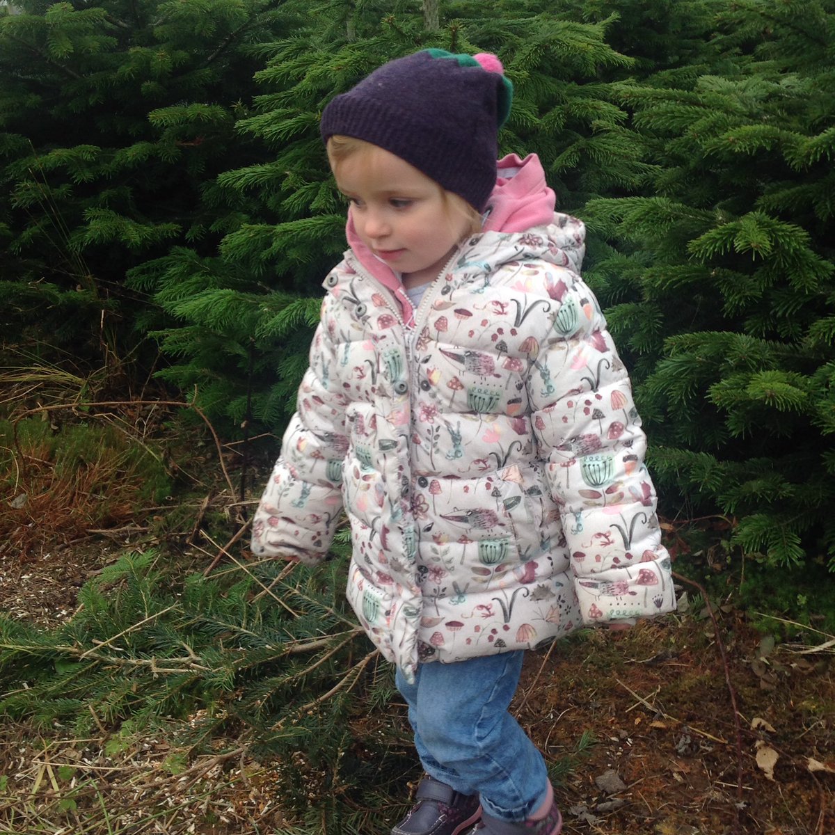ShopDearDoris's tweet image. Lovely day @ty_cerrig today Christmas tree hunting with my scrumptious granddaughter 💕