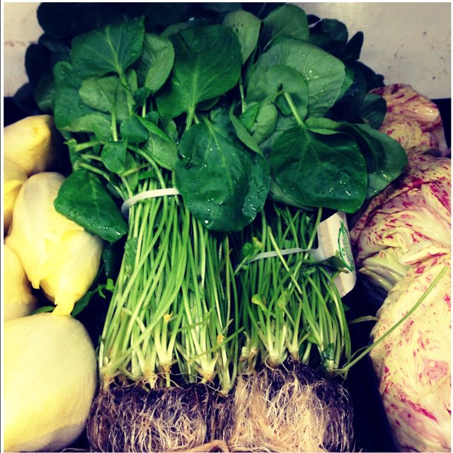 MoneyRSS's tweet image. The amazing vegetables CRESS ebay.com/itm/-/13202445…?