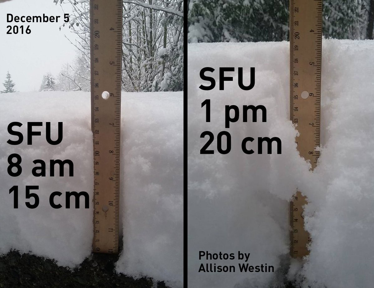 Research doesn't rest — <a href="/SFU/">Simon Fraser University</a> grad student Allison Westin was on campus at 6 am today to collect her results and got snow pix too! #BCStorm