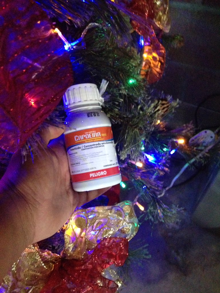 CarlosCars1234's tweet photo. Feliz Navidad les deseamos y que mejor que nuestro árbol adornado por lo mejor @Velsimex @ALTIARAMX https://t.co/3bIgzrdEwx